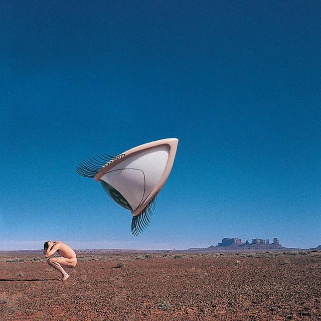 دانلود آهنگ Desperate Andy از The Cranberries