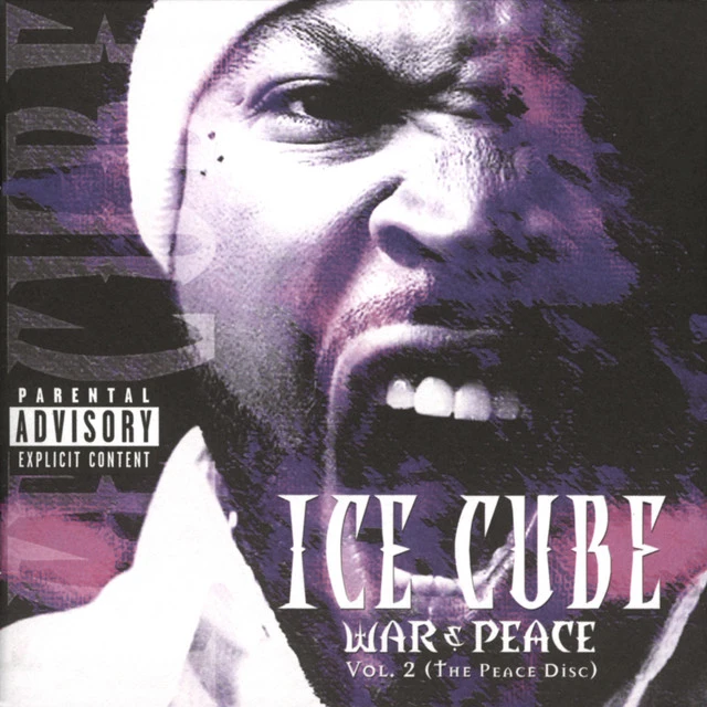 دانلود آهنگ Gotta Be Insanity از Ice Cube