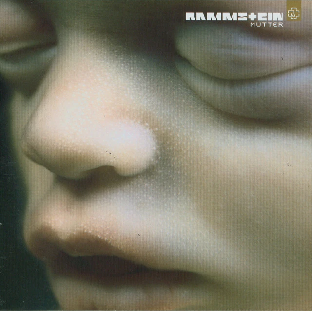 دانلود آهنگ Zwitter از Rammstein