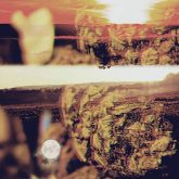 دانلود آهنگ صبح ظهر شب از حصین