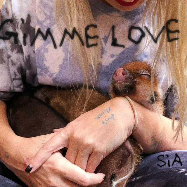 دانلود آهنگ Gimme Love از Sia
