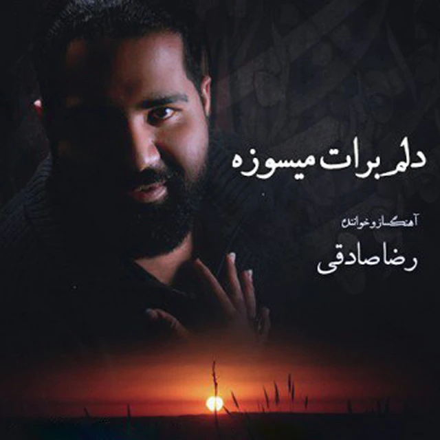 دانلود آهنگ باورم نمیشه از رضا صادقی