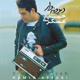 دانلود آهنگ دیوانه‌وار از حمید عسکری
