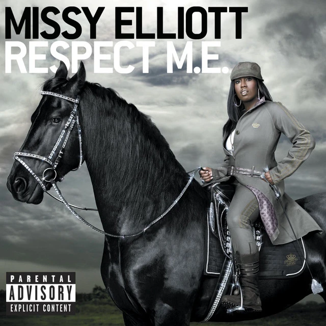 دانلود آهنگ I'm Really Hot از Missy Elliott