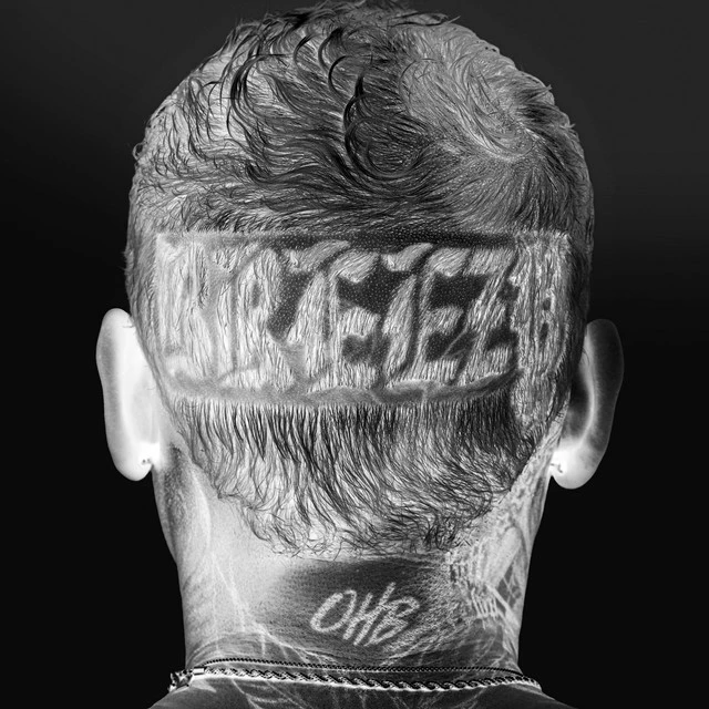 دانلود آهنگ Inner Peace از Chris Brown
