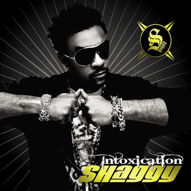 دانلود آهنگ Intoxication از Shaggy