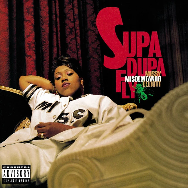 دانلود آهنگ Sock It 2 Me از Missy Elliott