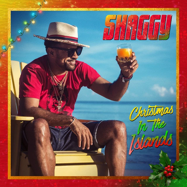 دانلود آهنگ Take You to the Cool از Shaggy