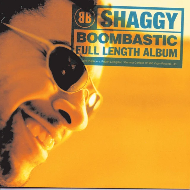 دانلود آهنگ The Train Is Coming از Shaggy