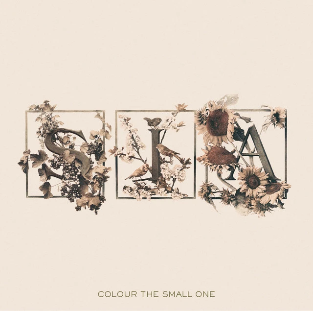 دانلود آهنگ Where I Belong از Sia