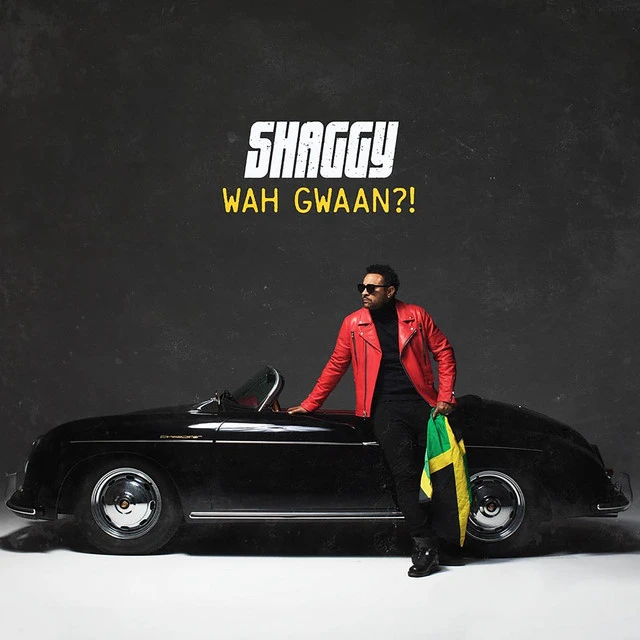 دانلود آهنگ Wrong Room از Shaggy