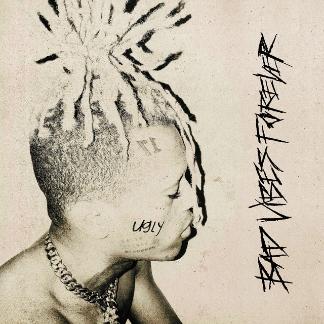 دانلود آهنگ Introduction از Xxxtentacion