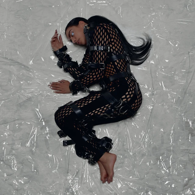 دانلود آهنگ Observer از Sevdaliza