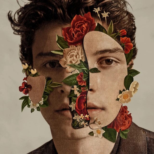دانلود آهنگ Queen از Shawn Mendes