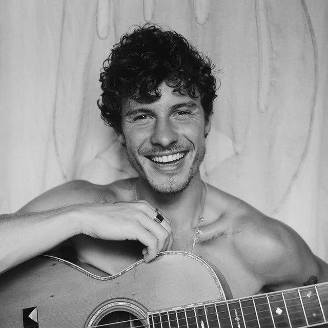 دانلود آلبوم Shawn Mendes از Shawn Mendes
