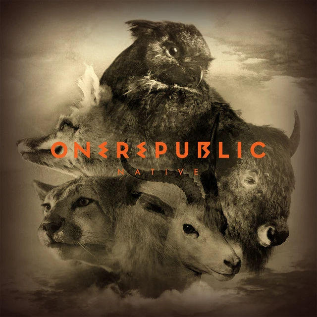 دانلود آهنگ What You Wanted از OneRepublic