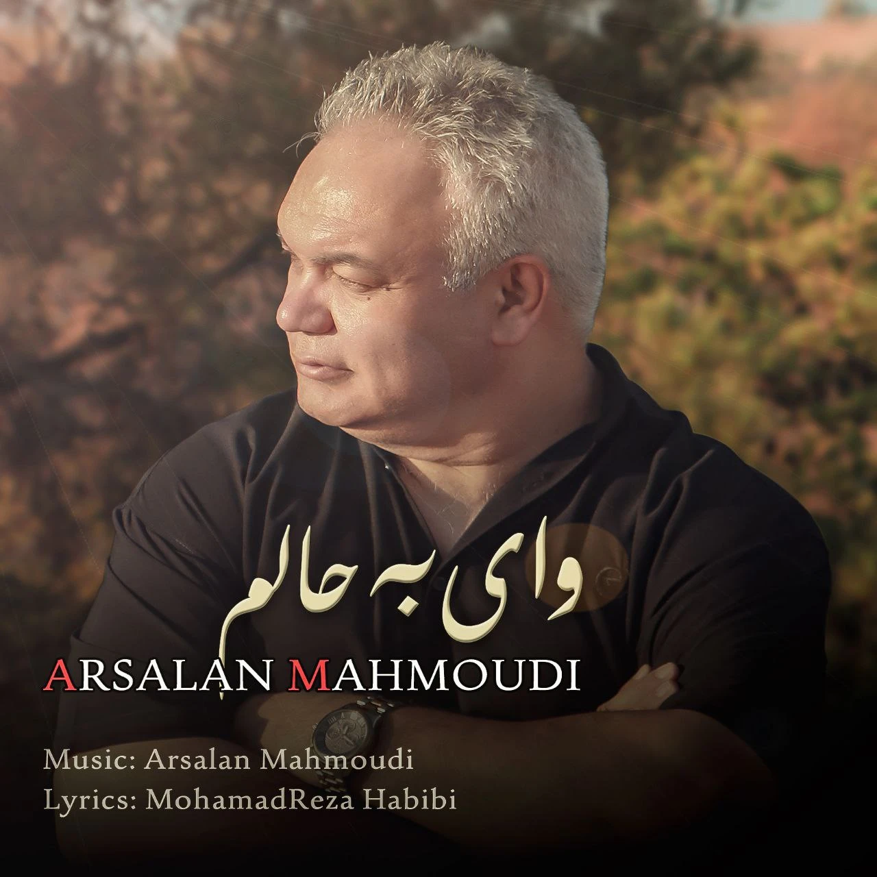 دانلود آهنگ وای به حالم از ارسلان محمودی