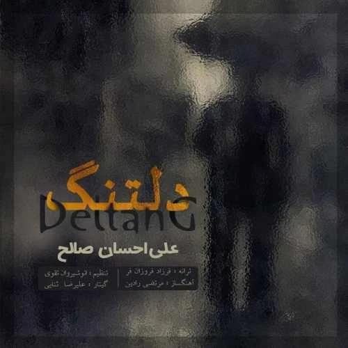 دانلود آهنگ دلتنگ از علی احسان صالح