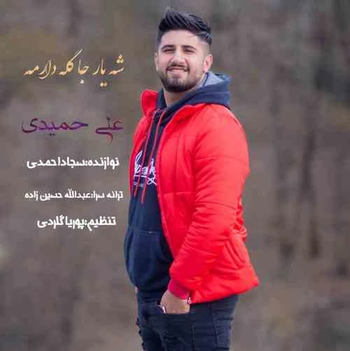 دانلود آهنگ شه یارجه گله دارمه از علی حمیدی