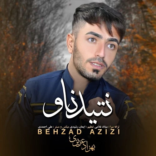 دانلود آهنگ نتید ناو از بهزاد عزیزی