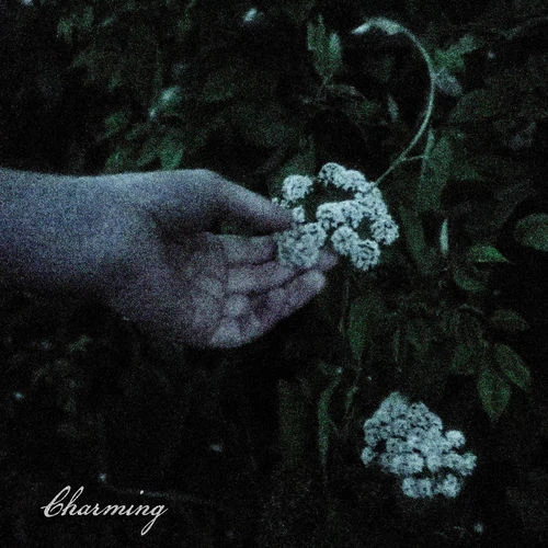 دانلود آهنگ Charming از Genevieve Stokes