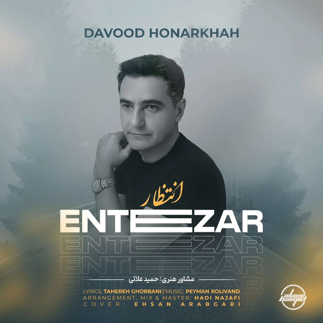 دانلود آهنگ انتظار از داود هنر خواه