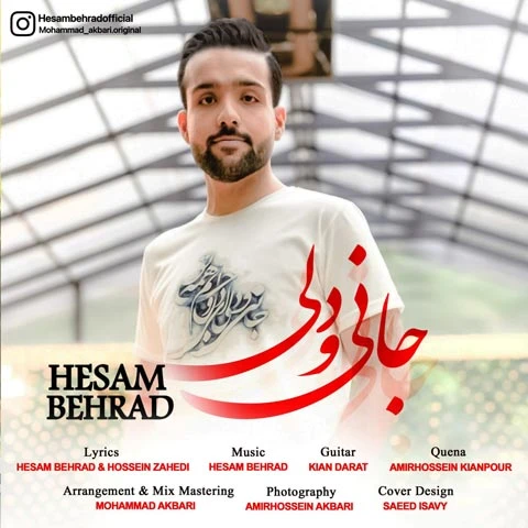 دانلود آهنگ جانی و دلی از حسام بهراد