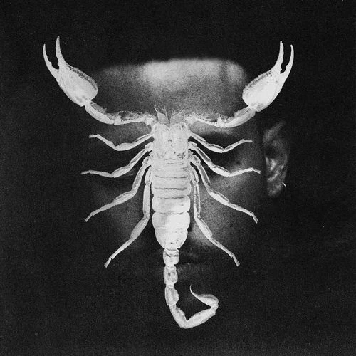 دانلود آهنگ جدید SCORPIO از JHAYCO