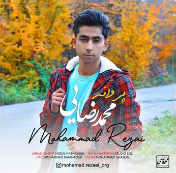 دانلود آهنگ پروانه از محمد رضایی