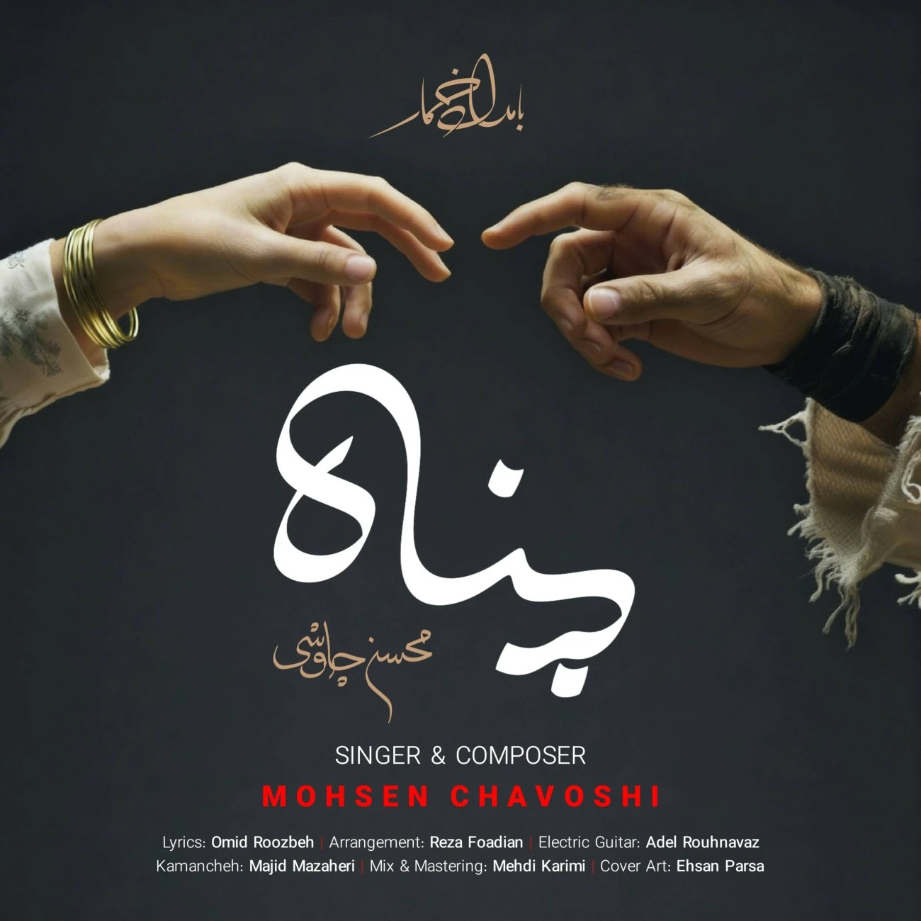 دانلود آهنگ پناه از محسن چاوشی