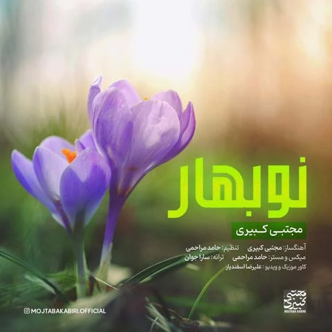 دانلود آهنگ عیدانه از مجتبی کبیری