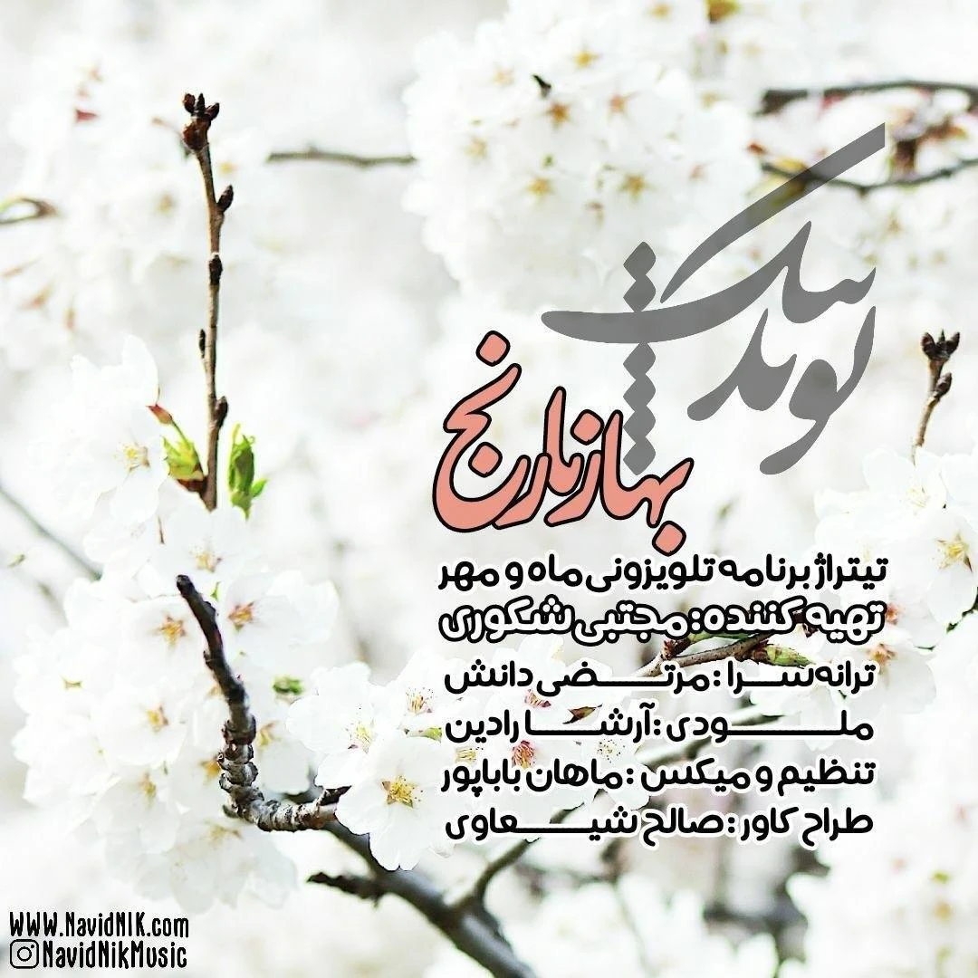 دانلود آهنگ بهار نارنج از نوید نیک
