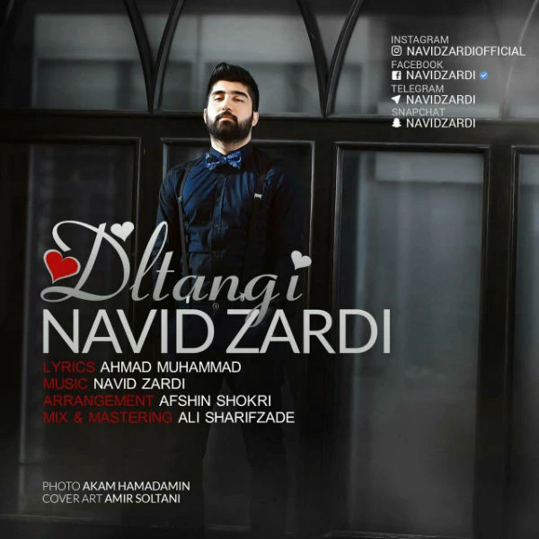 دانلود آهنگ دلتنگی از نوید زردی