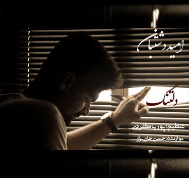 دانلود آهنگ دلتنگ از امید دشتبان