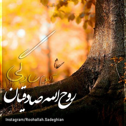 دانلود آلبوم جدید سادگی از روح الله صادقیان