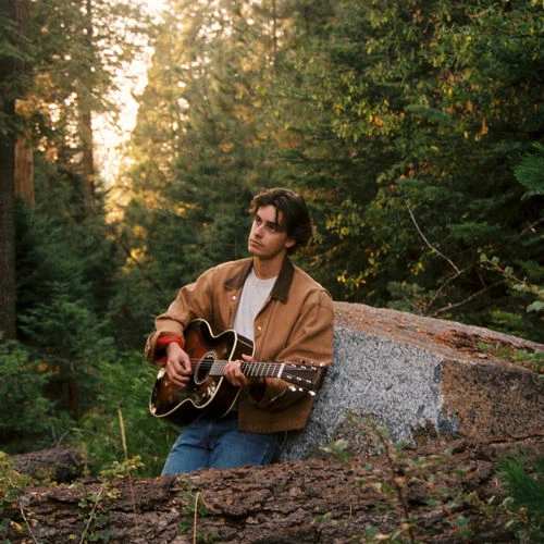 دانلود آهنگ The Pines از Noah Rinker