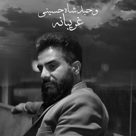 دانلود آهنگ غریبانه از وحید شاه حسینی