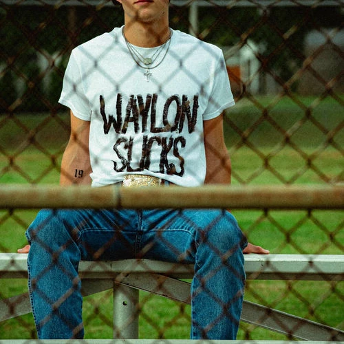 دانلود آهنگ جدید Pretty Little Liar از Waylon Wyatt