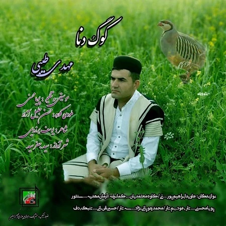 دانلود آهنگ کوگ دنا از مهدی طیبی
