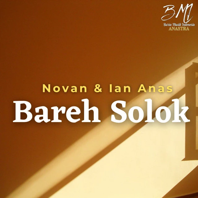 دانلود آهنگ Bareh Solok از Novan
