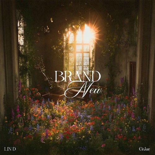 دانلود آهنگ Brand New از LIN D