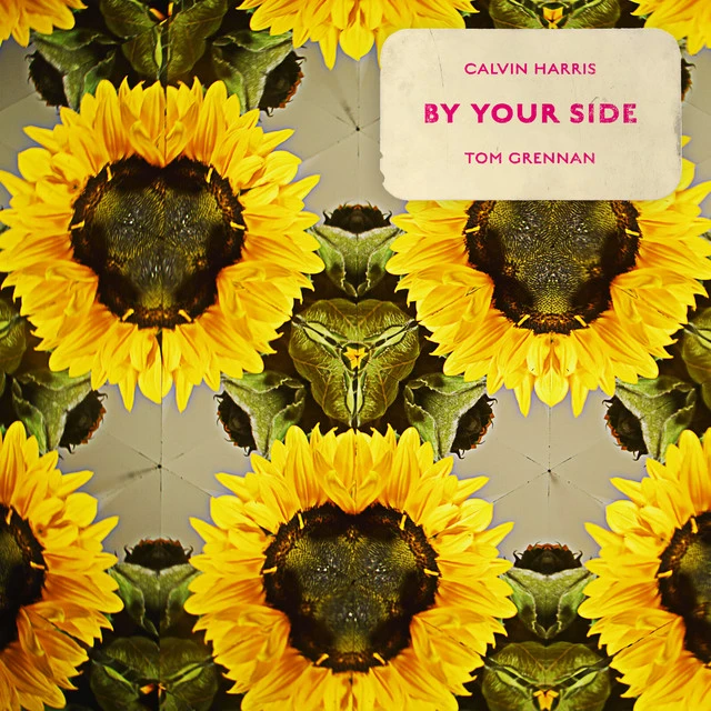 دانلود آهنگ By Your Side (feat. Tom Grennan) از Calvin Harris