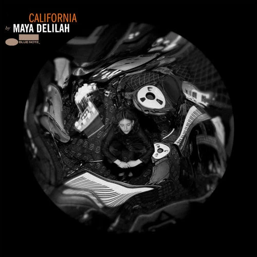 دانلود آهنگ California از Maya Delilah