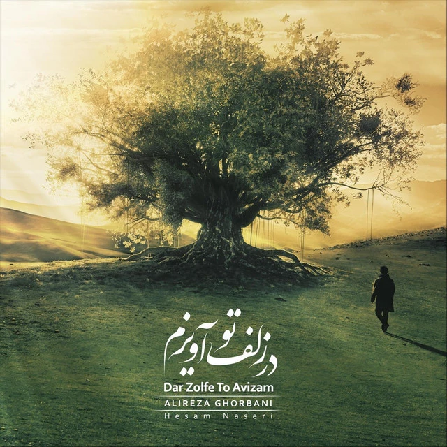دانلود آهنگ Dar Zolfe To Avizam از علیرضا قربانی