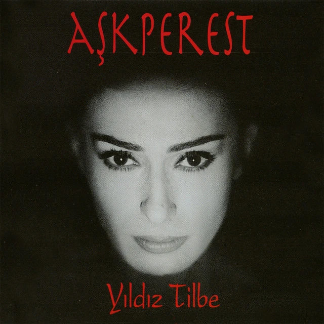 دانلود آهنگ Dayan Yüreğim از Yıldız Tilbe