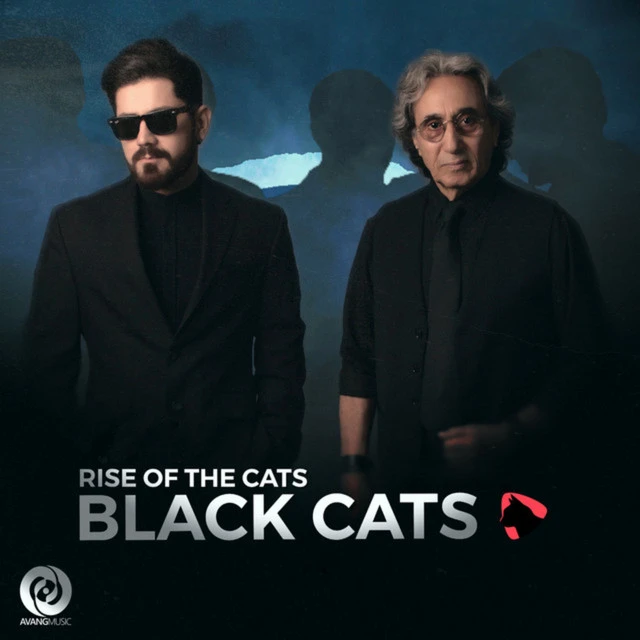 دانلود آهنگ Emshab از Black Cats