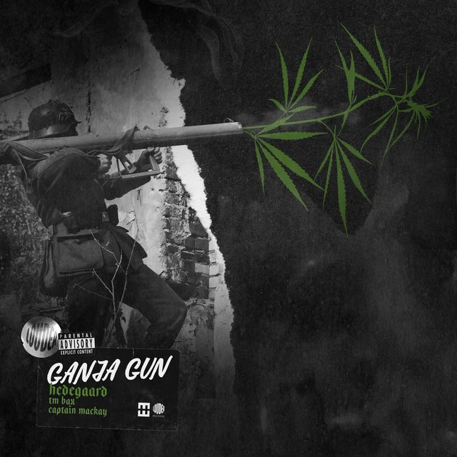 دانلود آهنگ GANJA GUN از TM Bax 2
