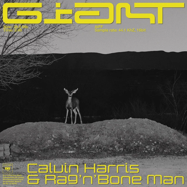 دانلود آهنگ Giant (with Rag'n'Bone Man) از Calvin Harris
