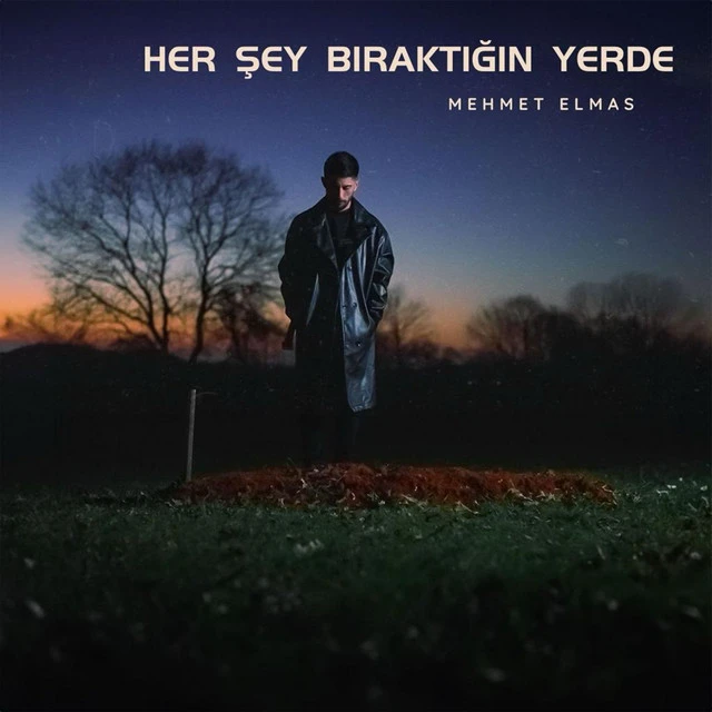 دانلود آهنگ Her Şey Bıraktığın Yerde از Mehmet Elmas