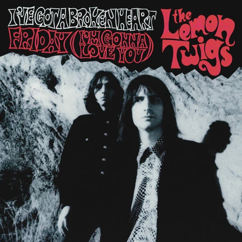 دانلود آهنگ I’ve Got A Broken Heart از The Lemon Twigs